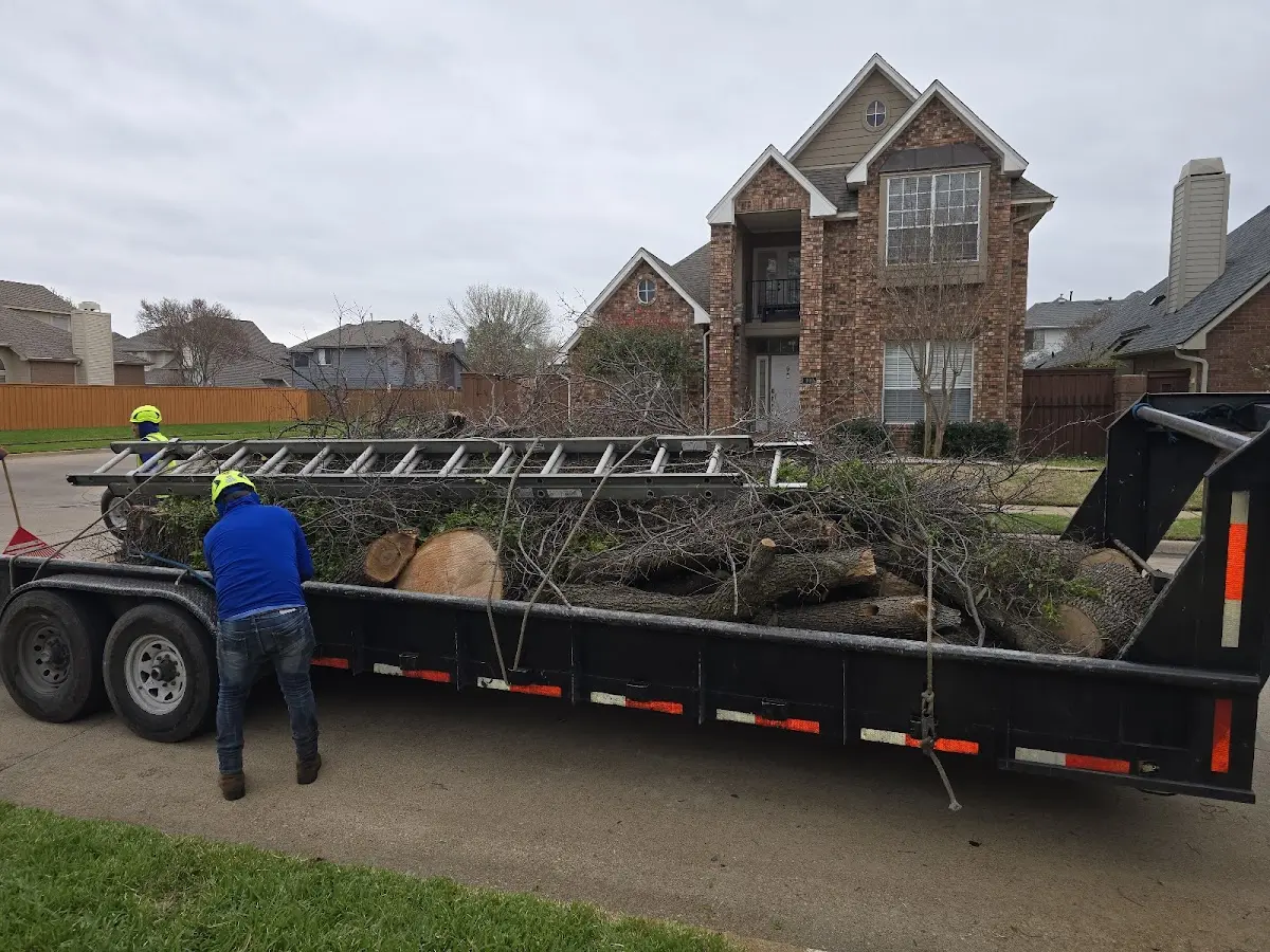 Expert Tree Pest Control with proper safety equipment in Lancaster